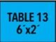 TABLE 13